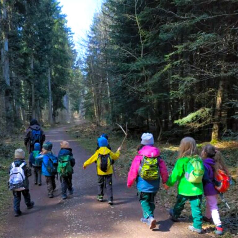 Wandern im Wald